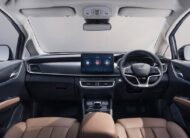 BYD M6
