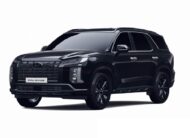 New Palisade XRT