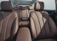 BYD M6