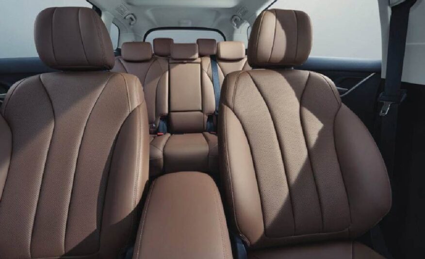 BYD M6