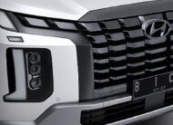 New Palisade XRT