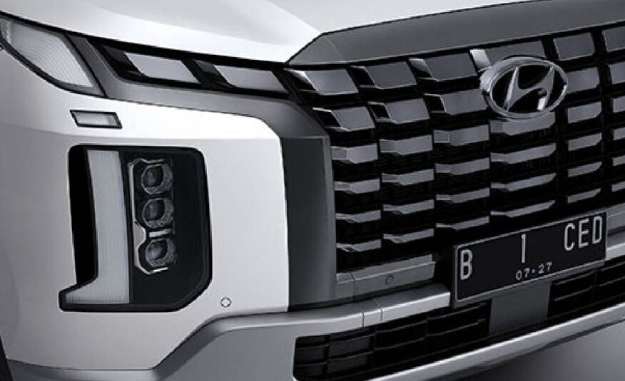 New Palisade XRT