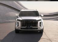 New Palisade XRT