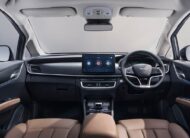 BYD M6