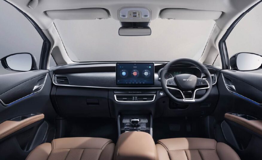 BYD M6