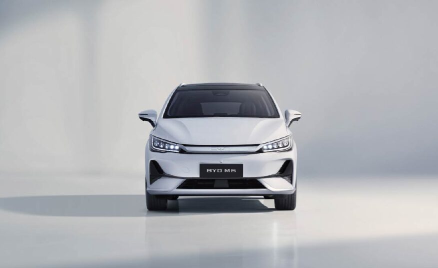 BYD M6