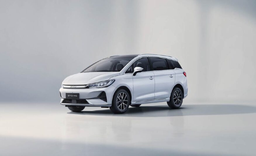 BYD M6