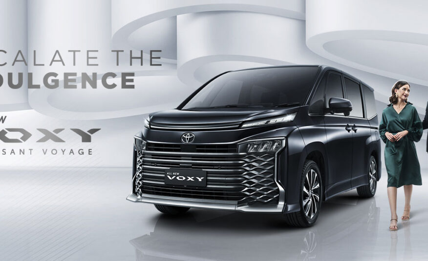 All New Voxy