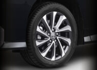 All New Voxy